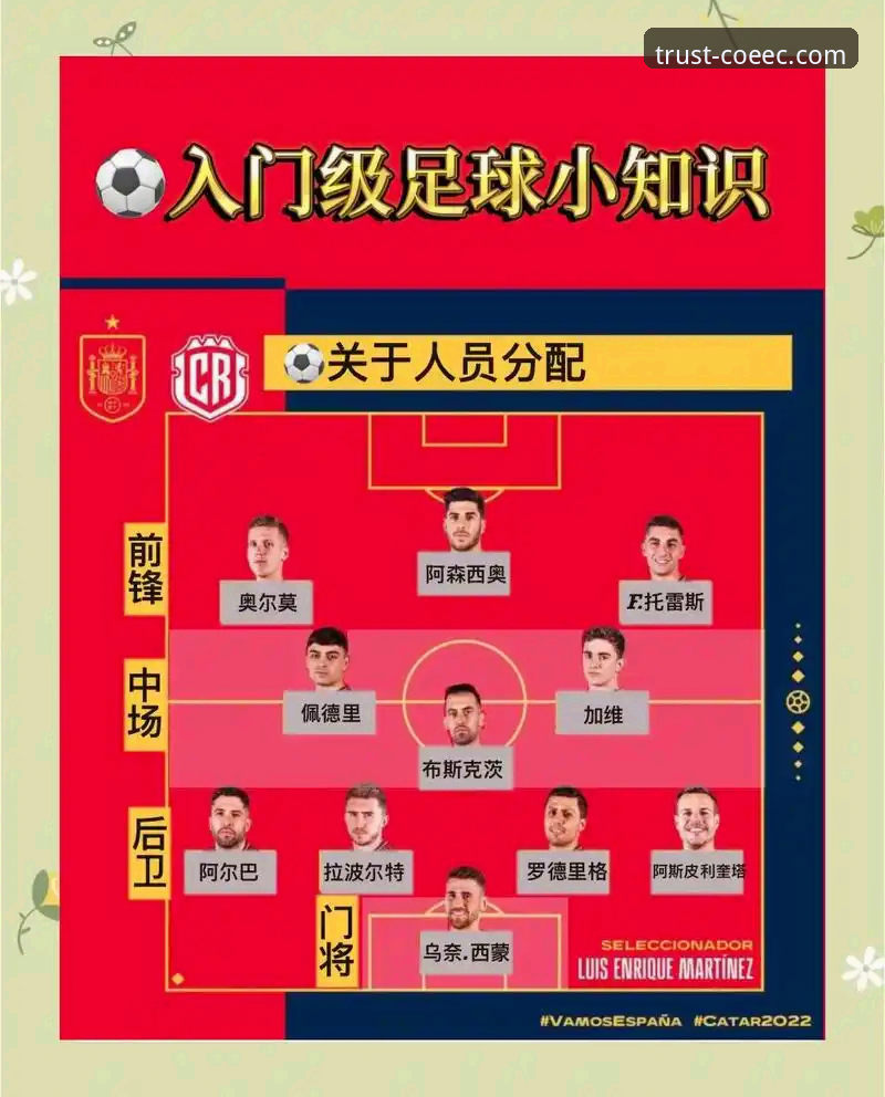 中欧体育投注技巧：保守策略vs激进策略，哪个更适合你？